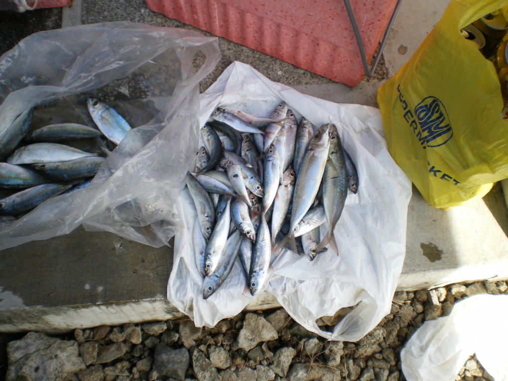 Dans le sud de Luzon près de Batangas et en face de l'île de Mindoro. du 12 au 15 octobre