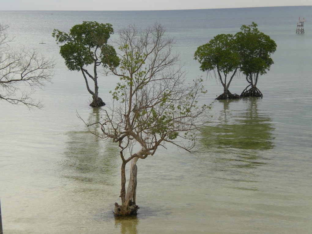 puerto princesa (19 au 21 octobre)