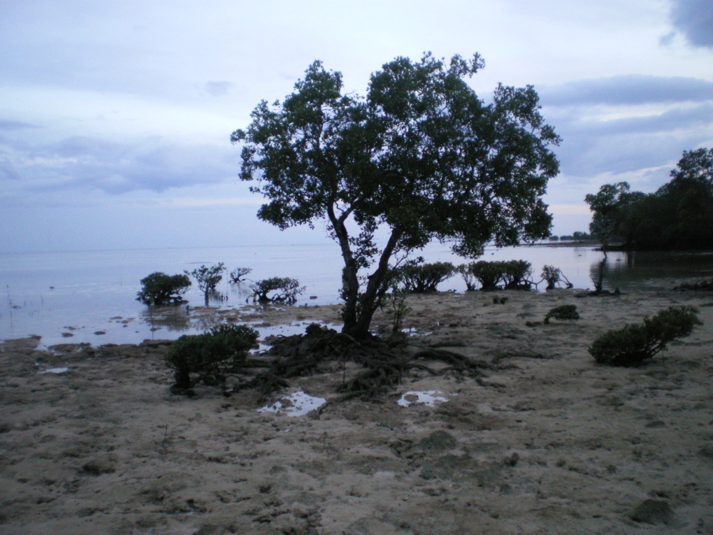 puerto princesa (19 au 21 octobre)