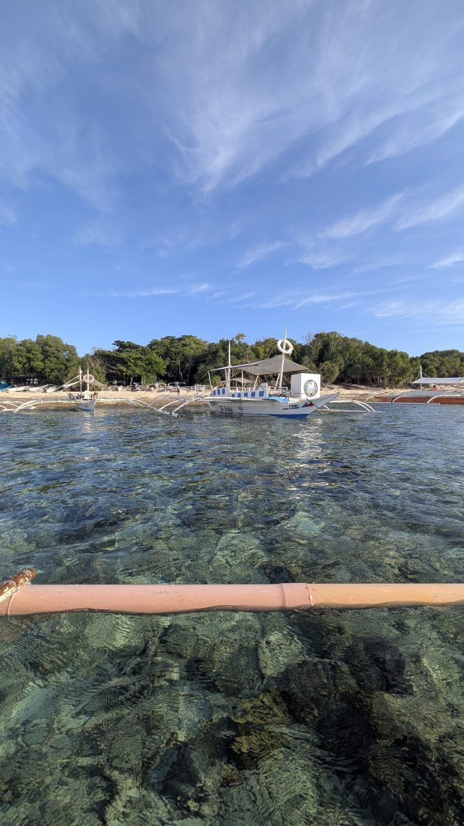 visiter balicasag island,biodiversité marine philippines,bacasag island,coraux balicasag,voyage aux philippines,entre émerveillement et déception,un réveil aux aurores,dauphins,déception et frustration,bilan mitigé,conseils,snorkeling