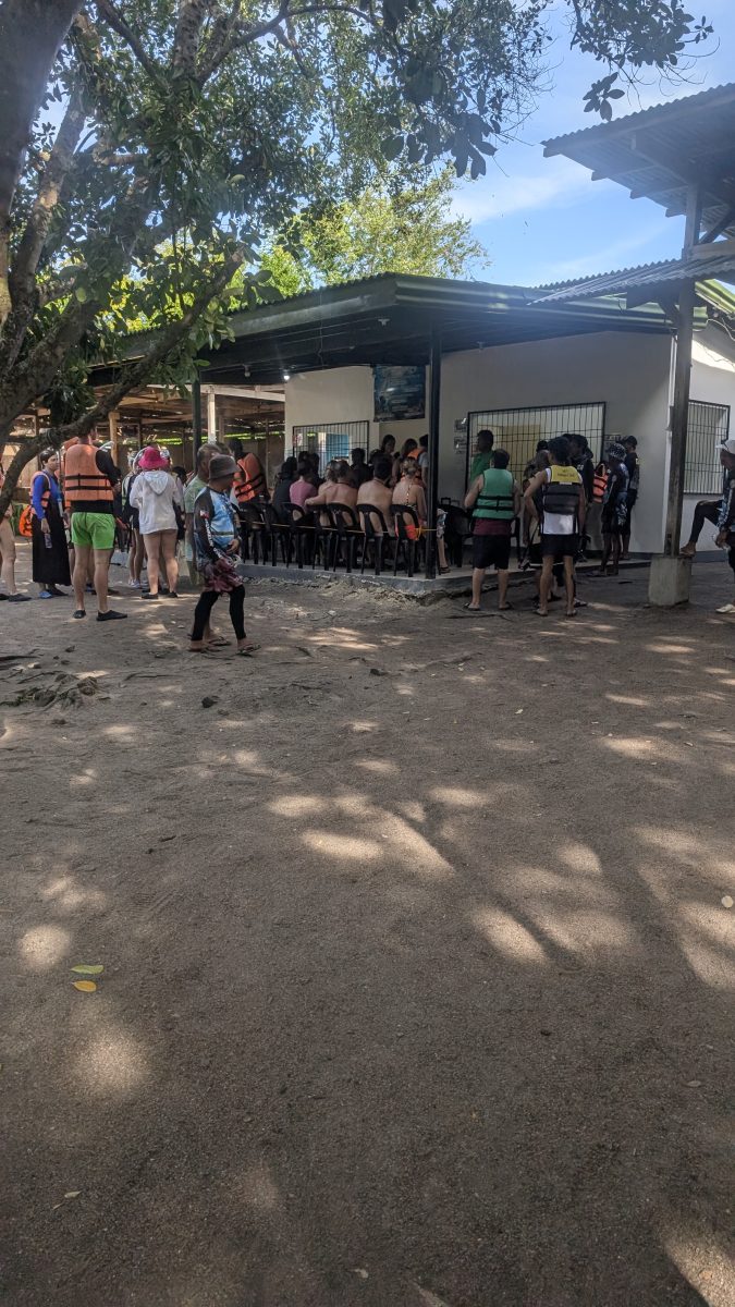 visiter balicasag island,biodiversité marine philippines,bacasag island,coraux balicasag,voyage aux philippines,entre émerveillement et déception,un réveil aux aurores,dauphins,déception et frustration,bilan mitigé,conseils,snorkeling