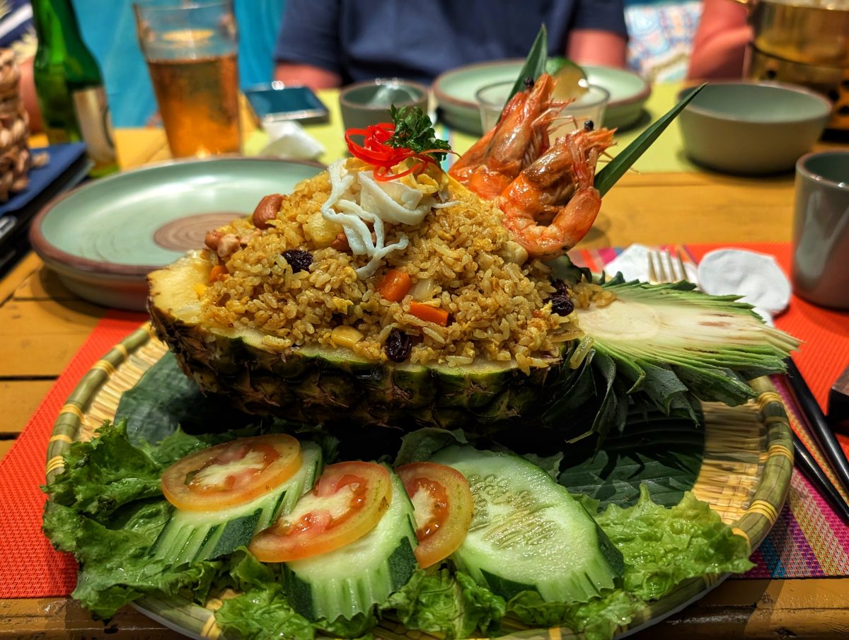 visiter balicasag island,biodiversité marine philippines,bacasag island,coraux balicasag,voyage aux philippines,entre émerveillement et déception,un réveil aux aurores,dauphins,déception et frustration,bilan mitigé,conseils,snorkeling