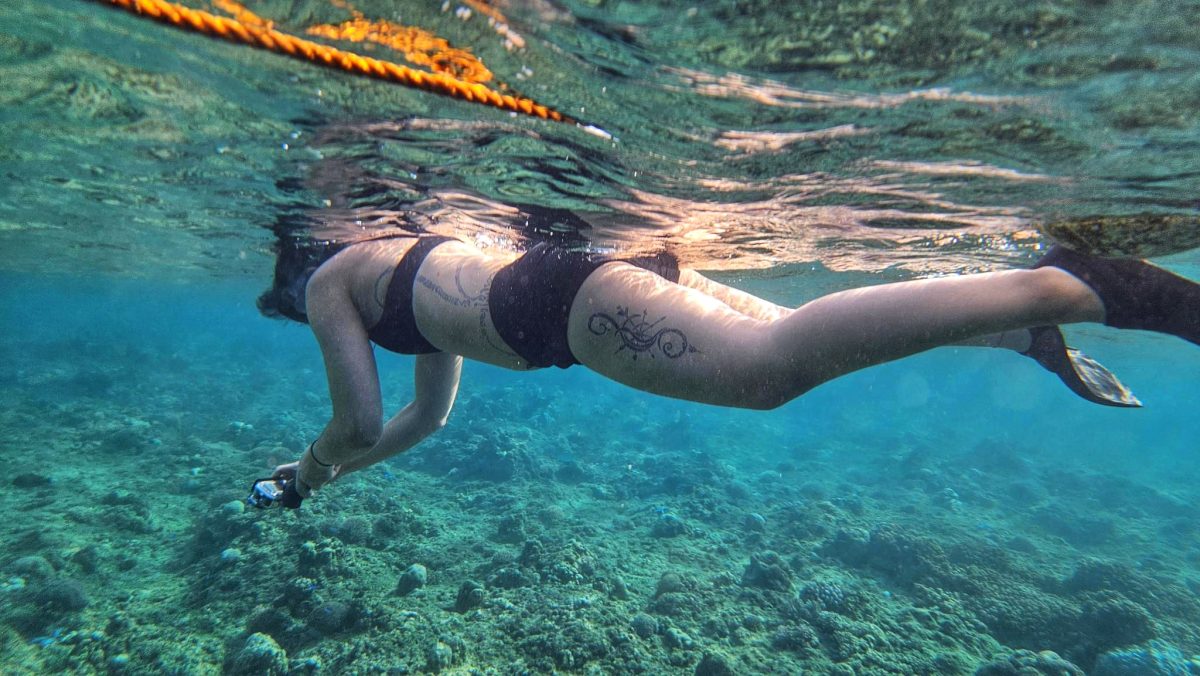 visiter balicasag island,biodiversité marine philippines,bacasag island,coraux balicasag,voyage aux philippines,entre émerveillement et déception,un réveil aux aurores,dauphins,déception et frustration,bilan mitigé,conseils,snorkeling