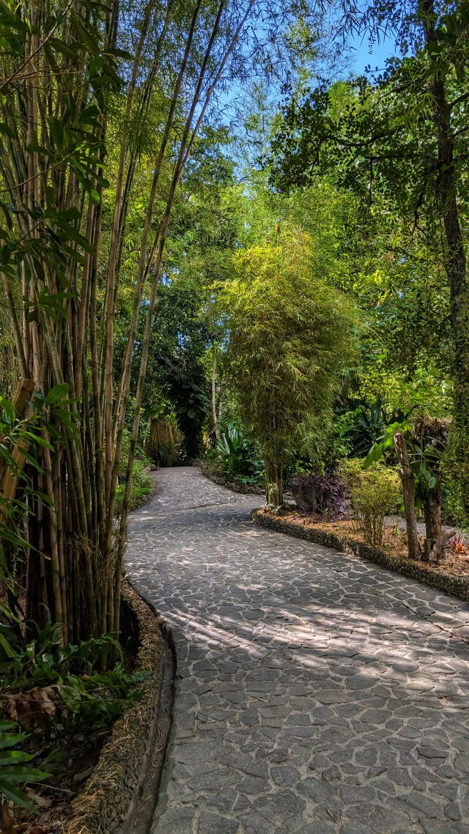 visiter balicasag island,biodiversité marine philippines,bacasag island,coraux balicasag,voyage aux philippines,entre émerveillement et déception,un réveil aux aurores,dauphins,déception et frustration,bilan mitigé,conseils,snorkeling