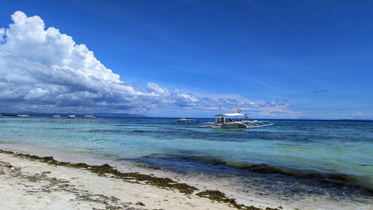 visiter balicasag island,biodiversité marine philippines,bacasag island,coraux balicasag,voyage aux philippines,entre émerveillement et déception,un réveil aux aurores,dauphins,déception et frustration,bilan mitigé,conseils,snorkeling