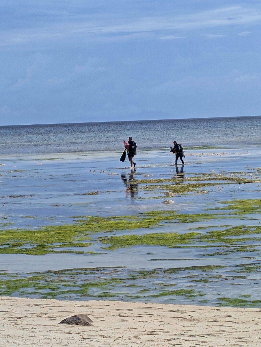 pxl 20250211 071605085.raw 01.cover