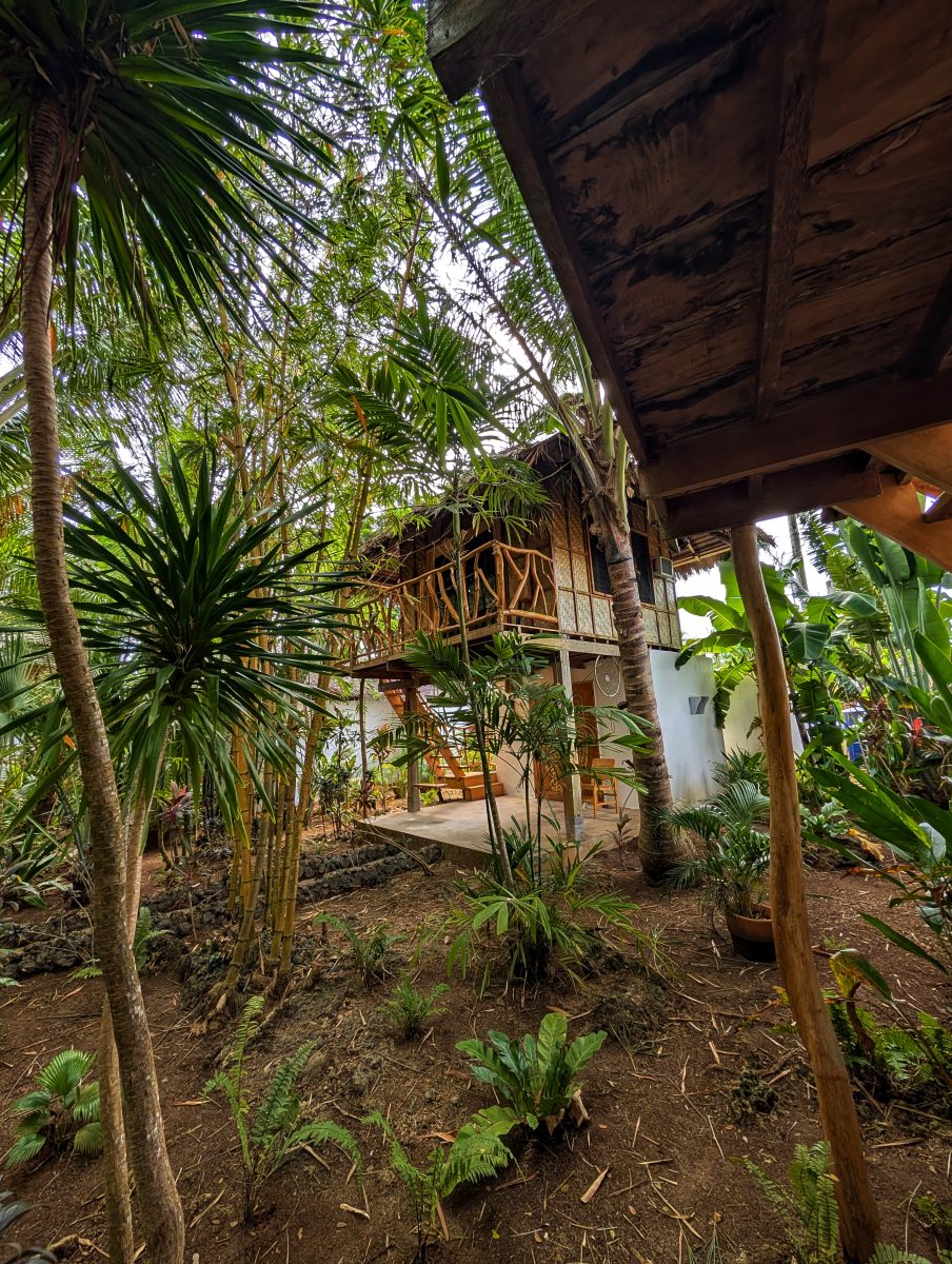 pxl 20250212 005741045.raw 01.cover