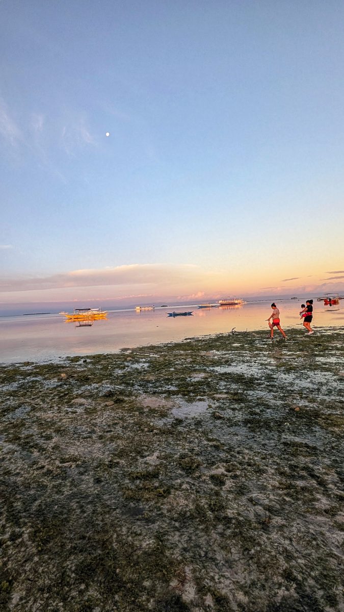 visiter balicasag island,biodiversité marine philippines,bacasag island,coraux balicasag,voyage aux philippines,entre émerveillement et déception,un réveil aux aurores,dauphins,déception et frustration,bilan mitigé,conseils,snorkeling