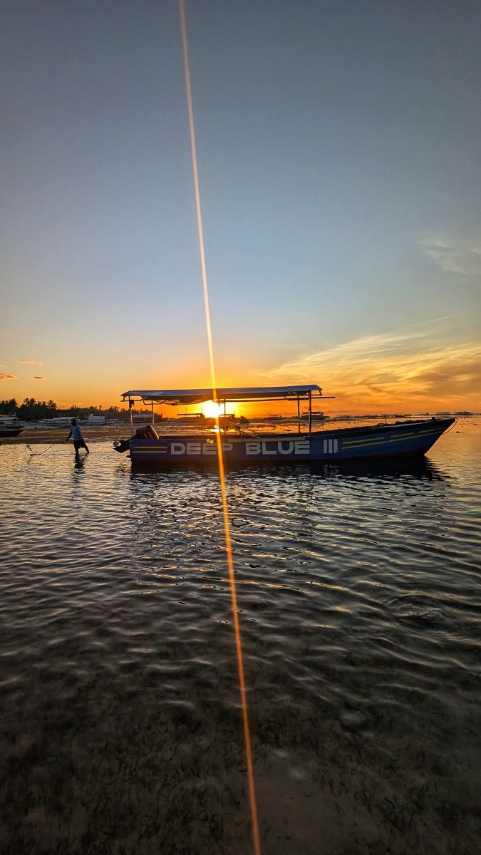 visiter balicasag island,biodiversité marine philippines,bacasag island,coraux balicasag,voyage aux philippines,entre émerveillement et déception,un réveil aux aurores,dauphins,déception et frustration,bilan mitigé,conseils,snorkeling