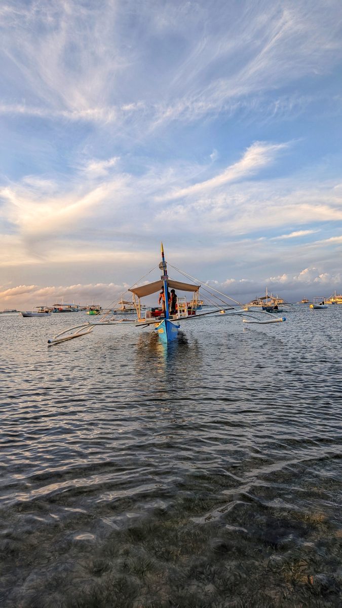 visiter balicasag island,biodiversité marine philippines,bacasag island,coraux balicasag,voyage aux philippines,entre émerveillement et déception,un réveil aux aurores,dauphins,déception et frustration,bilan mitigé,conseils,snorkeling