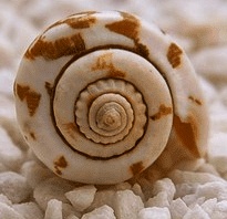 palenke,bistro des amis,red coconut,one hadgan villas,blog,cijo's keyhole,diniwid beach,puka shell beach,team,sunset,couché de soleil,tumultueuse,island,visayas,voyages aux philippines,withe beach,ninve,boracay,philippines,visaya,Du Paradis Perdu à la Frénésie Touristique,Accueil Chaleureux,Aventure Continue