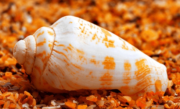 palenke,bistro des amis,red coconut,one hadgan villas,blog,cijo's keyhole,diniwid beach,puka shell beach,team,sunset,couché de soleil,tumultueuse,island,visayas,voyages aux philippines,withe beach,ninve,boracay,philippines,visaya,Du Paradis Perdu à la Frénésie Touristique,Accueil Chaleureux,Aventure Continue