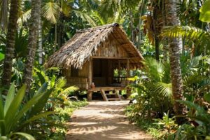 a small hut in the middle of a jungle photo