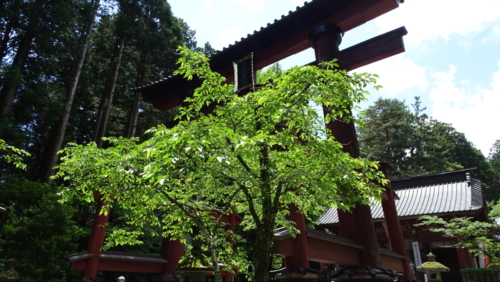 kitaguchi 13june (62)