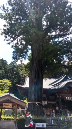 kitaguchi 13june (80)