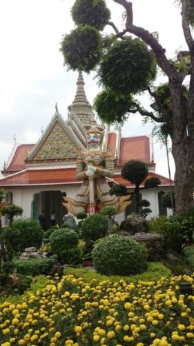 wat pho