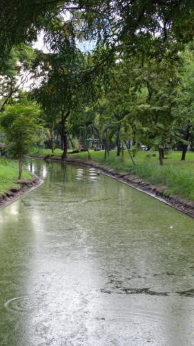 Lumphini Park