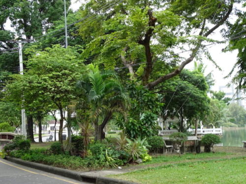 Lumphini Park