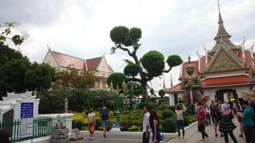 wat pho1