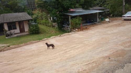 khao lak