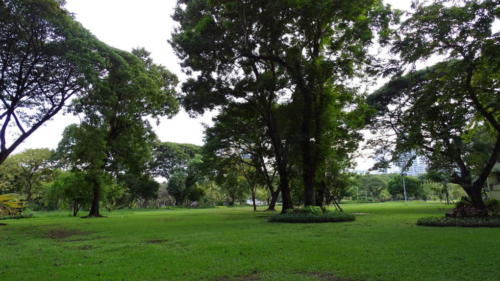 Lumphini Park